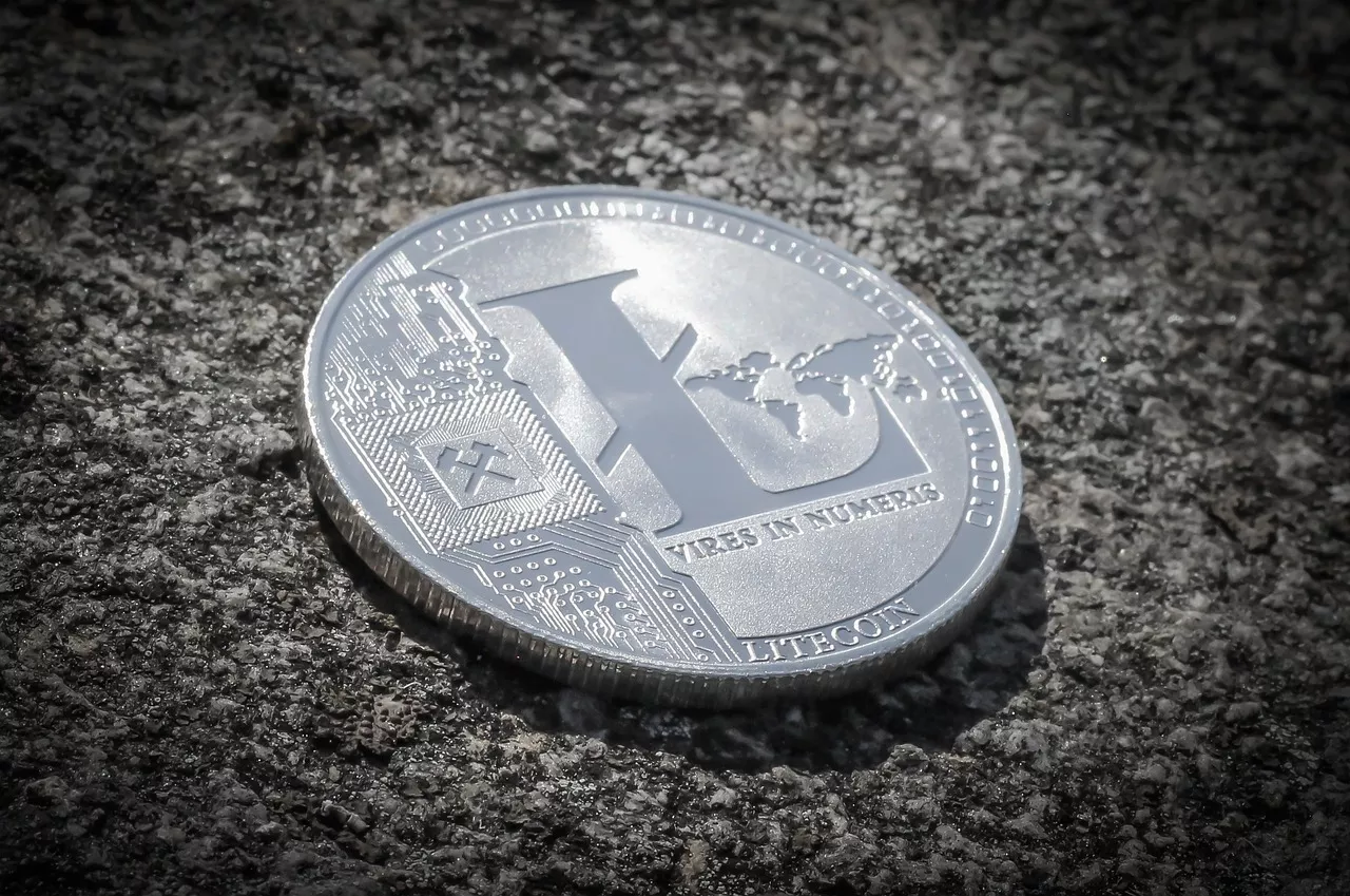 conto litecoin